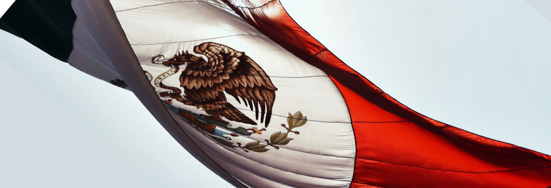 Fotografía de la bandera nacional ondeando. Foto por Luis Vidal para Unsplash.