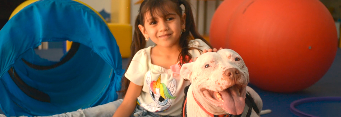 Imagen de portada para nota sobre perritos de asistencia