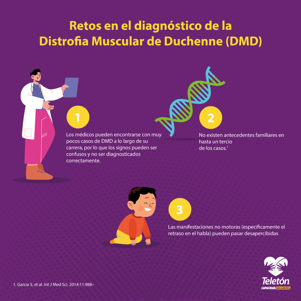 Infografía con el título “Retos en el diagnóstico de la Distrofia Muscular de Duchenne (DMD)” y tres ilustraciones. La primera ilustración es de un médico, acompañada del texto: “Los médicos pueden encontrarse con muy pocos casos de DDM a lo largo de su carrera, por lo que los signos pueden ser confusos y no ser diagnosticados correctamente”.
La segunda ilustración es de una cadena de ADN, acompañada del texto: “No existen antecedentes familiares en hasta un tercio de los casos”. La tercera ilustración es de un niño gateando acompañada del texto: “Las manifestaciones no motoras (específicamente el retraso en el habla) pueden pasar desapercibidas”. En la parte inferior derecha se muestra el logo de Teletón.